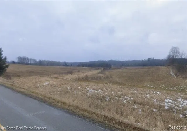 2nd image of 4771 E County Line Rd, South Branch, MI 48761 | MLS# 60985906