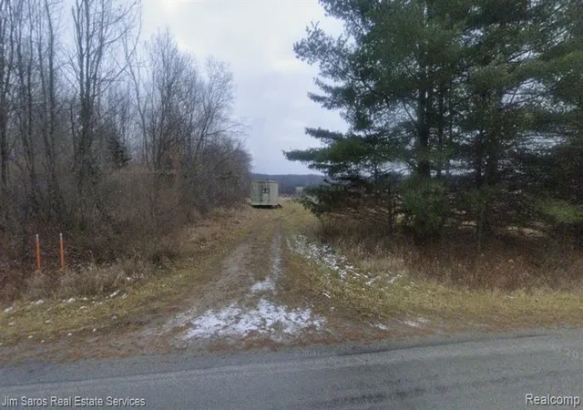 3rd image of 4771 E County Line Rd, South Branch, MI 48761 | MLS# 60985906