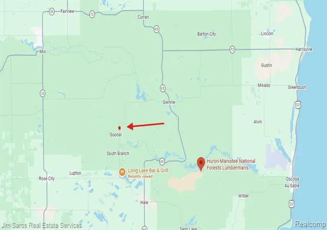 4th image of 4771 E County Line Rd, South Branch, MI 48761 | MLS# 60985906