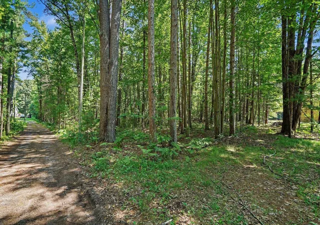 Homes for sale in Sanford, MI | 1310 W New Pine Trl, Sanford, MI 48657 | MLS# 80070852