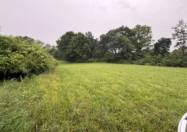 4th image of Vl Hawkins Rd Rd, Jackson, MI 49201 | MLS# 70541479
