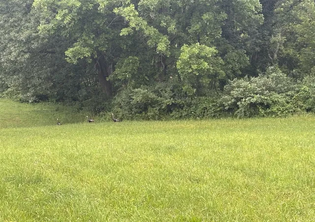 5th image of Vl Hawkins Rd Rd, Jackson, MI 49201 | MLS# 70541479