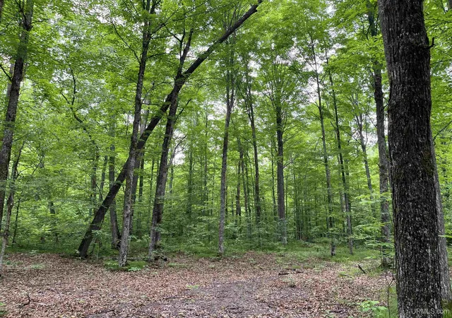 1st image of 3435 Mulberry Ln, Florence, WI 54121 | MLS# 50211082