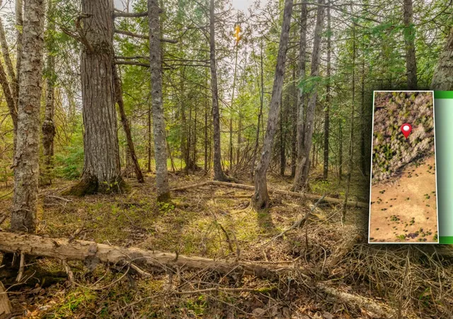 Homes for sale in Pelkie, MI | Lot 7 Horoscope Road, Pelkie, MI 49958 | MLS# 70535520