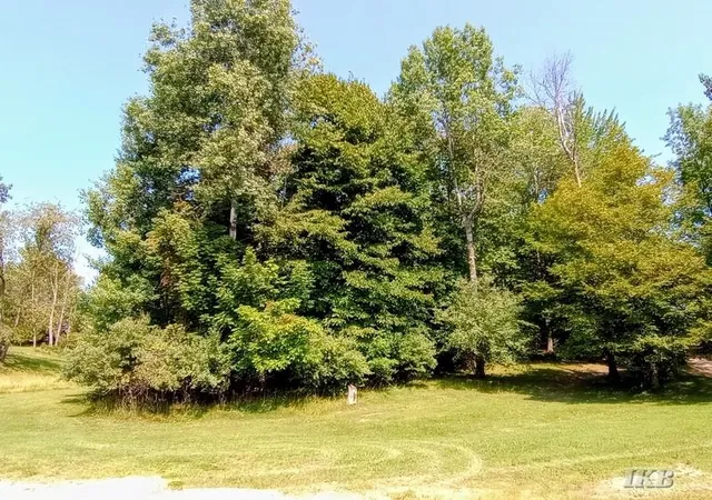 Photo 3 of Sale Pending at Lot 61 Knights Cir, Gladwin, MI 48624 | MLS# 50218948 | Listing updated on 2026-08-26