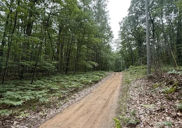 1st image of V/l Beechwood Dr, Roscommon, MI 48653 | MLS# 80070924