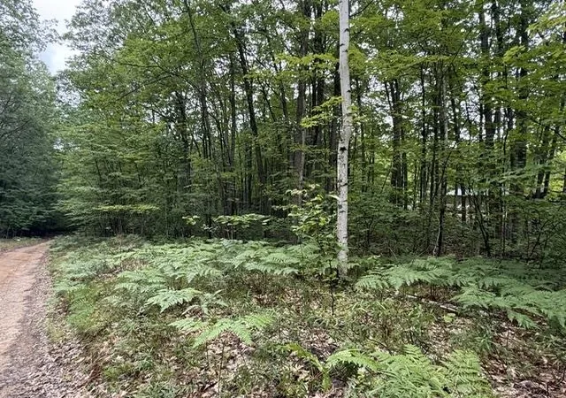2nd image of V/l Beechwood Dr, Roscommon, MI 48653 | MLS# 80070924