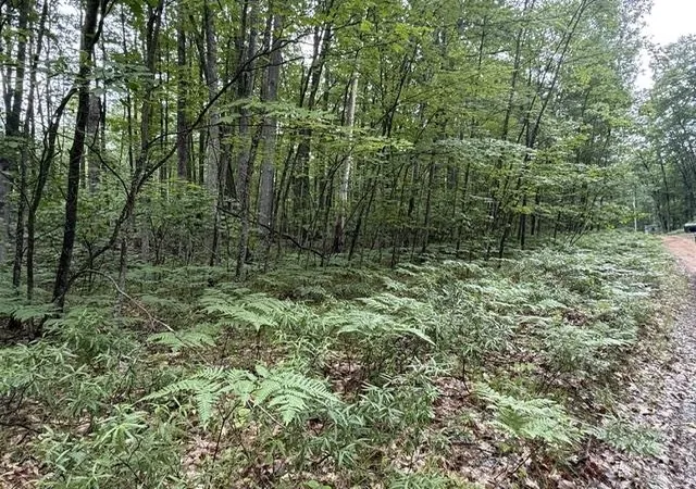 3rd image of V/L Beechwood Dr, Roscommon, MI 48653 | MLS# 80070924