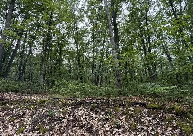 4th image of V/L Beechwood Dr, Roscommon, MI 48653 | MLS# 80070924