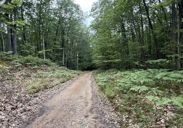 7th image of V/l Beechwood Dr, Roscommon, MI 48653 | MLS# 80070924