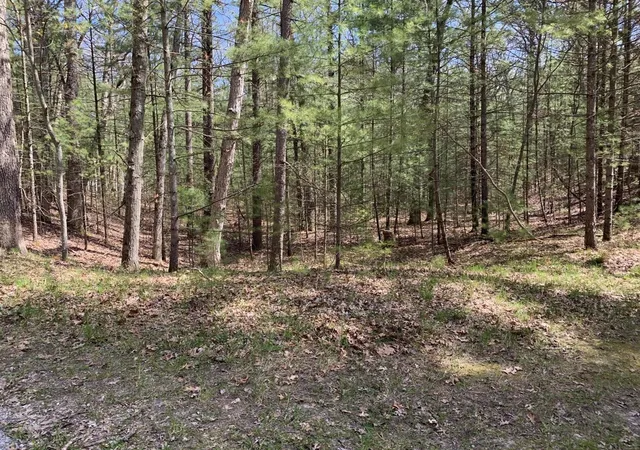 Photo 3 of Land for sale at Lenox Ave, Pentwater, MI 49449 | MLS# 70472958 | Listing updated on 2026-06-24