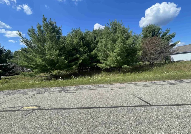 Land for sale at 194 Lexington Ave, Gladwin, MI 48624 | MLS# 50187342