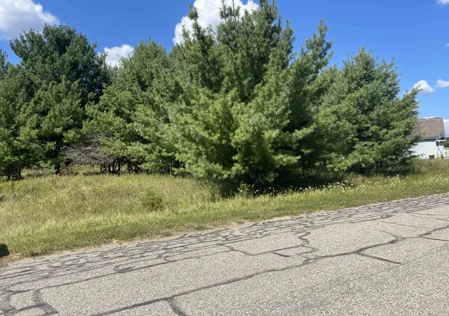 Photo 2 of Land for sale at 194 Lexington Ave, Gladwin, MI 48624 | MLS# 50187342 | Listing updated on 2026-08-31