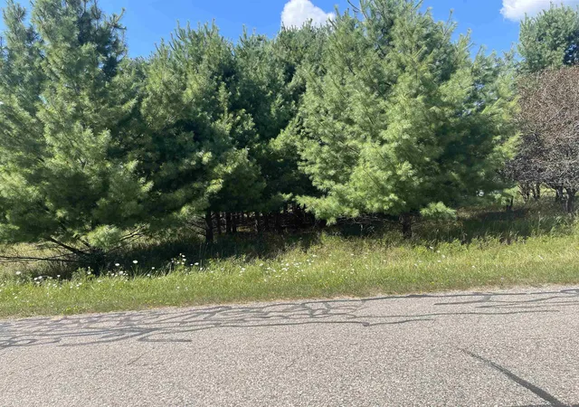 Photo 3 of Land for sale at 194 Lexington Ave, Gladwin, MI 48624 | MLS# 50187342 | Listing updated on 2026-08-31