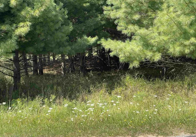 Photo 4 of Land for sale at 194 Lexington Ave, Gladwin, MI 48624 | MLS# 50187342 | Listing updated on 2026-08-31