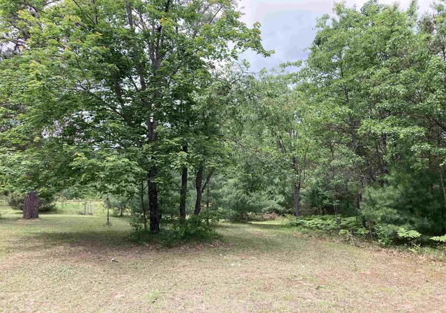 Homes for sale in Mio, MI | 1875 Richardson Rd, Mio, MI 48647 | MLS# 80069721