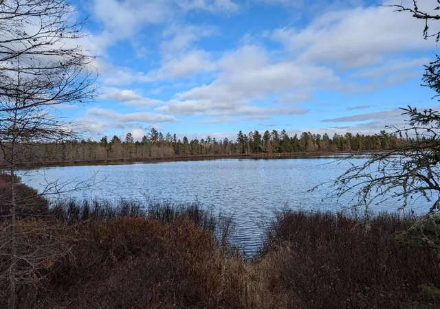 Photo 3 of Land for sale at Vl Slough Lake Rd, Update, MI 49841 | MLS# 70549758 | Listing updated on 2026-08-07