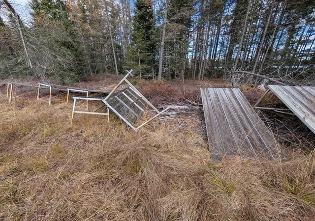 Photo 4 of Land for sale at Vl Slough Lake Rd, Update, MI 49841 | MLS# 70549758 | Listing updated on 2026-08-07