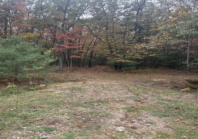 Photo 3 of Land for sale at V/l Maple Rd, Manistee, MI 49660 | MLS# 70500786 | Listing updated on 2025-11-19