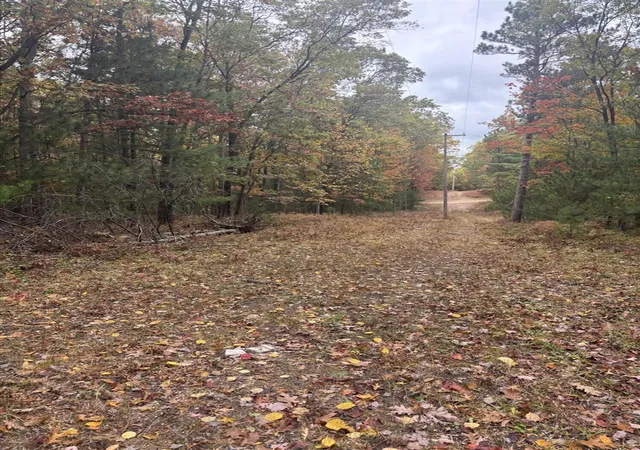 Photo 3 of Land for sale at V/l Maple Rd, Manistee, MI 49660 | MLS# 70500786 | Listing updated on 2025-11-19