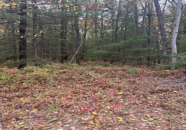 Photo 4 of Land for sale at V/l Maple Rd, Manistee, MI 49660 | MLS# 70500786 | Listing updated on 2025-11-19