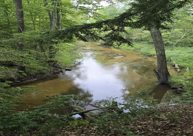 1st image of 610 W Millerton Rd, Scottville, MI 49454 | MLS# 70554246