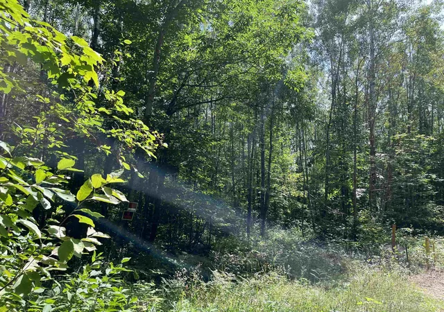 Photo 4 of Land for sale at Lot 2 Mulberry Ln, Florence, WI 54121 | MLS# 50218601 | Listing updated on 2026-08-14