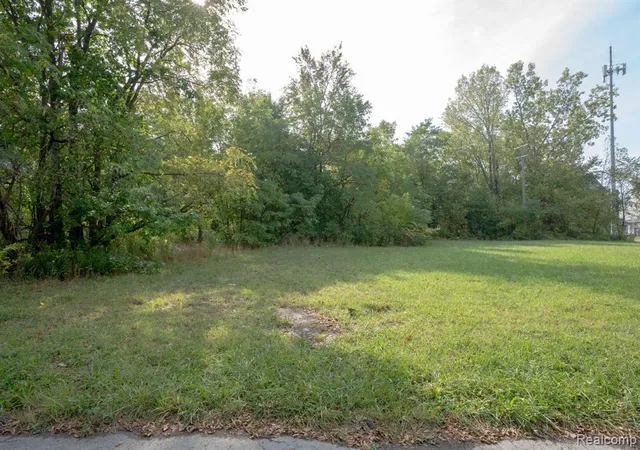 Photo 3 of Land for sale at 2633 W Forest Ave, Detroit, MI 48208 | MLS# 60940328 | Listing updated on 2026-09-17