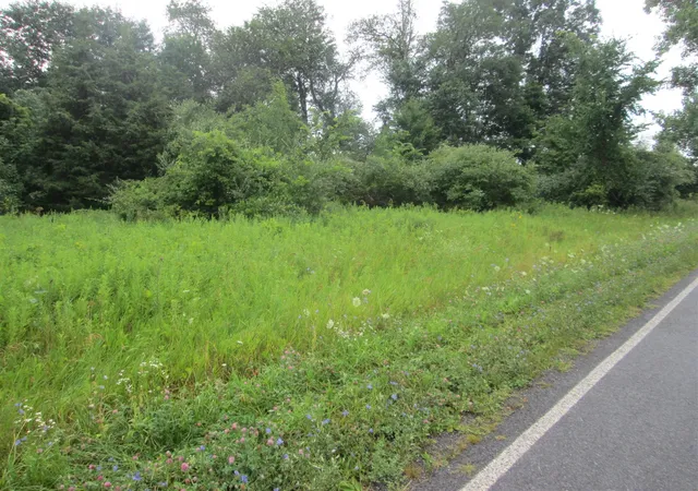 Photo 1 of Sale Pending at 0 W Muskrat Rd, Sidney, MI 48885 | MLS# 70549697 | Listing updated on 2026-08-06