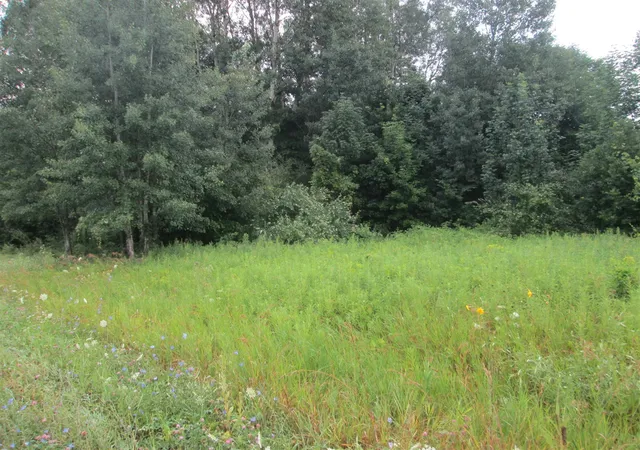 Photo 2 of Sale Pending at 0 W Muskrat Rd, Sidney, MI 48885 | MLS# 70549697 | Listing updated on 2026-08-06
