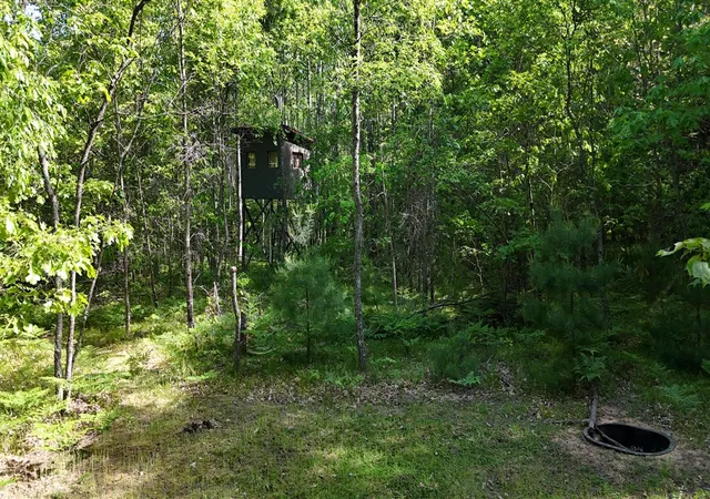 Homes for sale in Irons, MI | W 7 Mile Rd, Irons, MI 49644 | MLS# 70537337