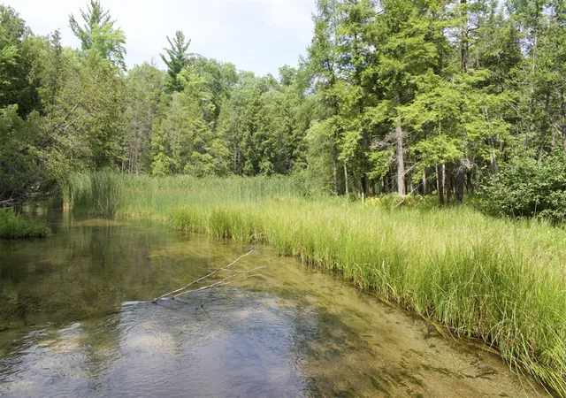 Photo 3 of Land for sale at 4573 N Able Rd, Irons, MI 49644 | MLS# 70552607 | Listing updated on 2026-08-15