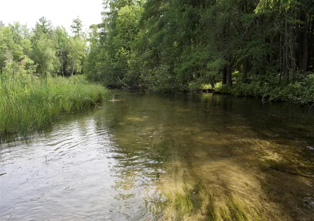 Photo 4 of Land for sale at 4573 N Able Rd, Irons, MI 49644 | MLS# 70552607 | Listing updated on 2026-08-15
