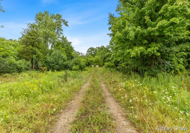 Photo 3 of Land for sale at 1099 Lincoln Rd, Allegan, MI 49010 | MLS# 70552807 | Listing updated on 2026-08-18