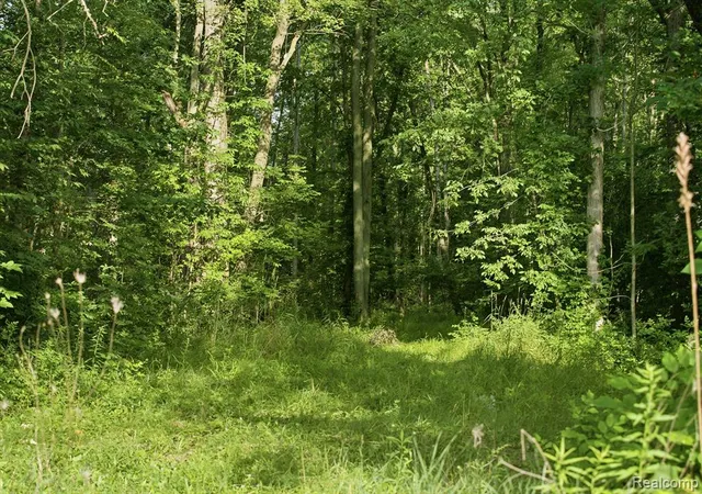Photo 11 of Sale Pending at 5296 County Line Rd, Lenox, MI 48048 | MLS# 61007110 | Listing updated on 2026-08-18