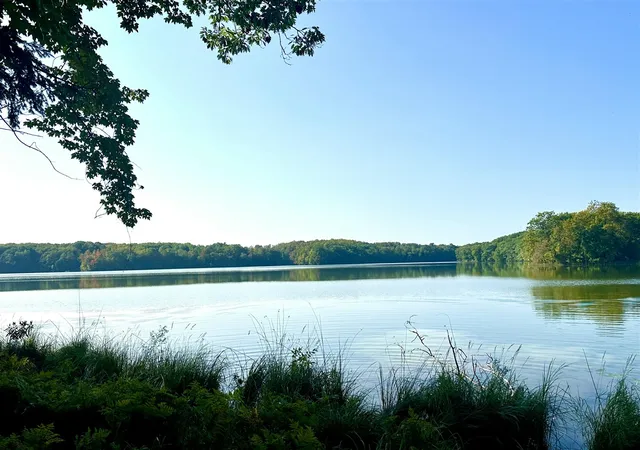 1st image of Pristine Woods Ln, Bellaire, MI 49615 | MLS# 70545402