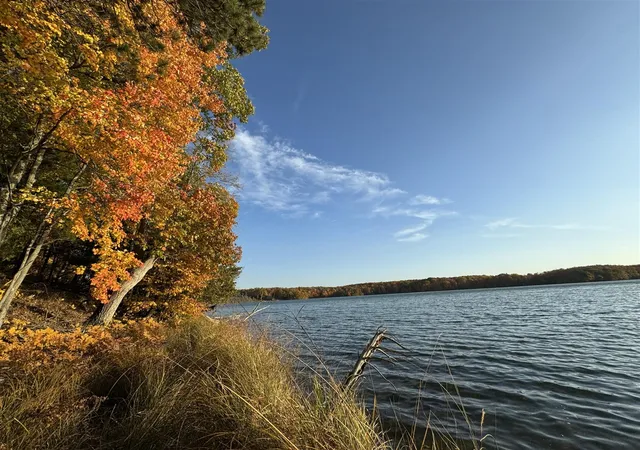 2nd image of Pristine Woods Ln, Bellaire, MI 49615 | MLS# 70545402