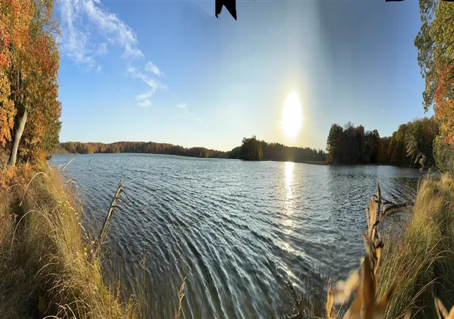 4th image of Pristine Woods Ln, Bellaire, MI 49615 | MLS# 70545402