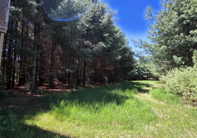 Photo 3 of Land for sale at Crockard, Bad Axe, MI 48413 | MLS# 70540628 | Listing updated on 2026-07-20