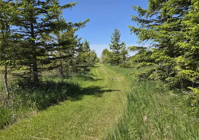 Photo 4 of Land for sale at Crockard, Bad Axe, MI 48413 | MLS# 70540628 | Listing updated on 2026-07-20