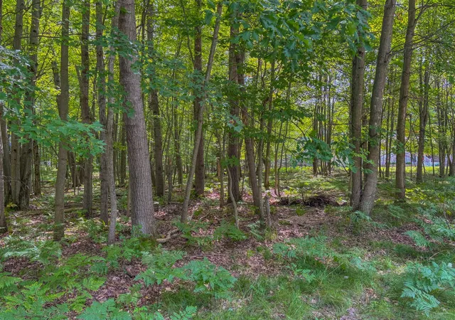 Photo 3 of Land for sale at 9385 Clubhouse Dr, Stanwood, MI 49346 | MLS# 70487181 | Listing updated on 2026-08-11