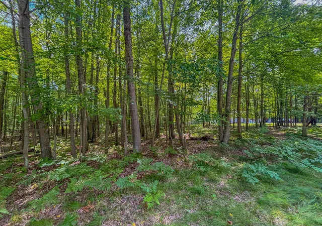 Photo 4 of Land for sale at 9385 Clubhouse Dr, Stanwood, MI 49346 | MLS# 70487181 | Listing updated on 2026-08-11