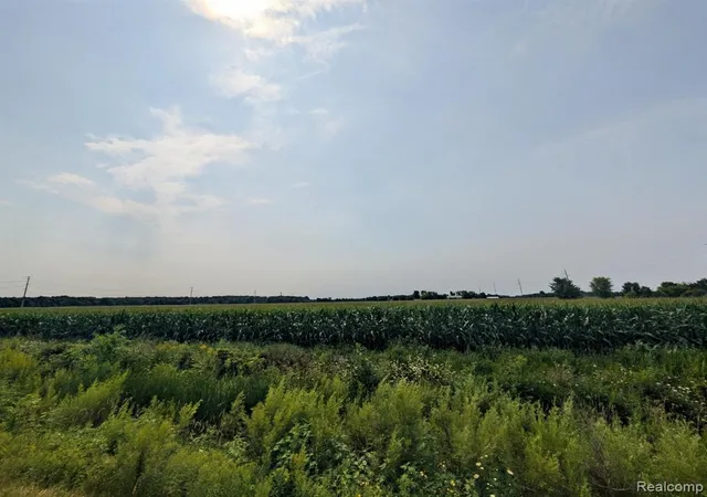 Photo 1 of Land for sale at Vl Brown Rd, Greenwood, MI 48006 | MLS# 61021321 | Listing updated on 2026-08-14