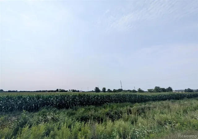 Photo 3 of Land for sale at Vl Brown Rd, Greenwood, MI 48006 | MLS# 61021321 | Listing updated on 2026-08-14