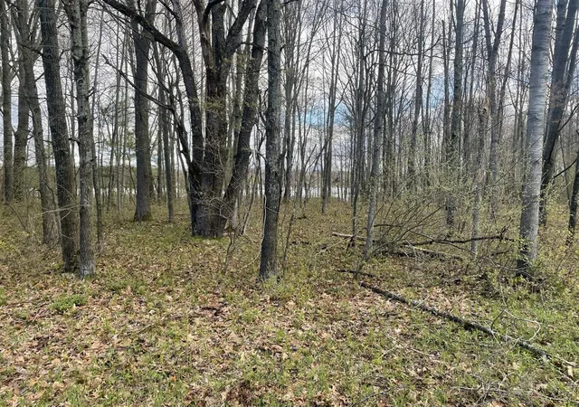 Photo 2 of Sale Pending at E Madison Rd, Walkerville, MI 49459 | MLS# 70528895 | Listing updated on 2026-08-06