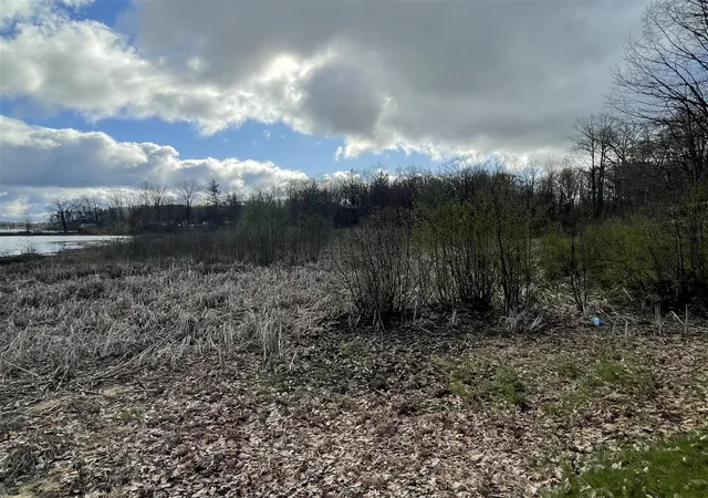 Photo 3 of Sale Pending at E Madison Rd, Walkerville, MI 49459 | MLS# 70528895 | Listing updated on 2026-08-06