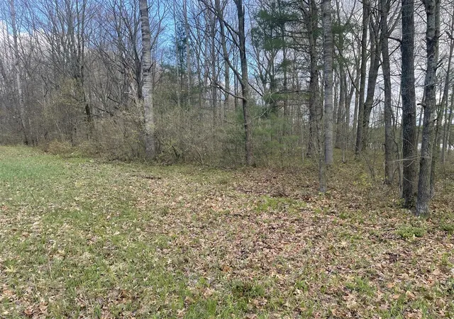 Photo 4 of Sale Pending at E Madison Rd, Walkerville, MI 49459 | MLS# 70528895 | Listing updated on 2026-08-06