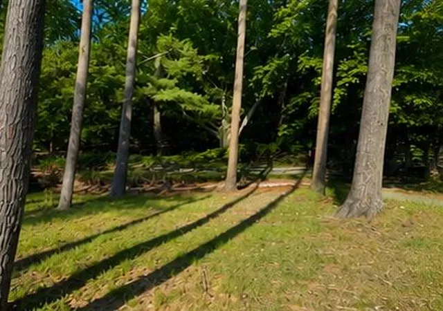 Photo 3 of Land for sale at 822 Lake Ave, Grand Haven, MI 49417 | MLS# 70537154 | Listing updated on 2026-06-27