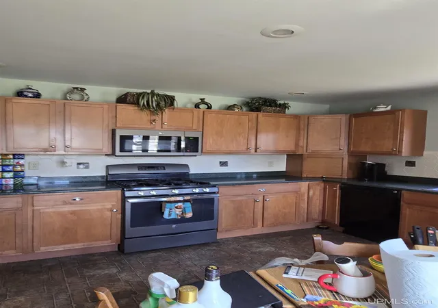 Homes for sale in Hancock, MI | 20904 E 2Nd St, Hancock, MI 49930 | MLS# 50207239