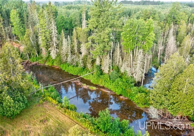 Photo 3 of Land for sale at 6484 A Off S15 Rd, Rapid River, MI 49878 | MLS# 50219926 | Listing updated on 2026-09-21